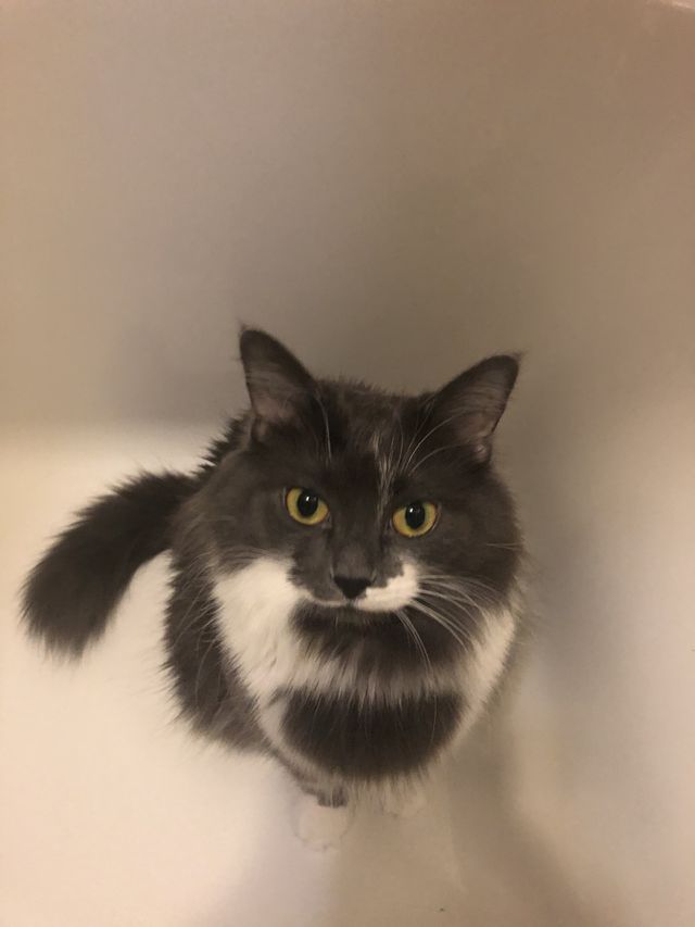 Look at me 