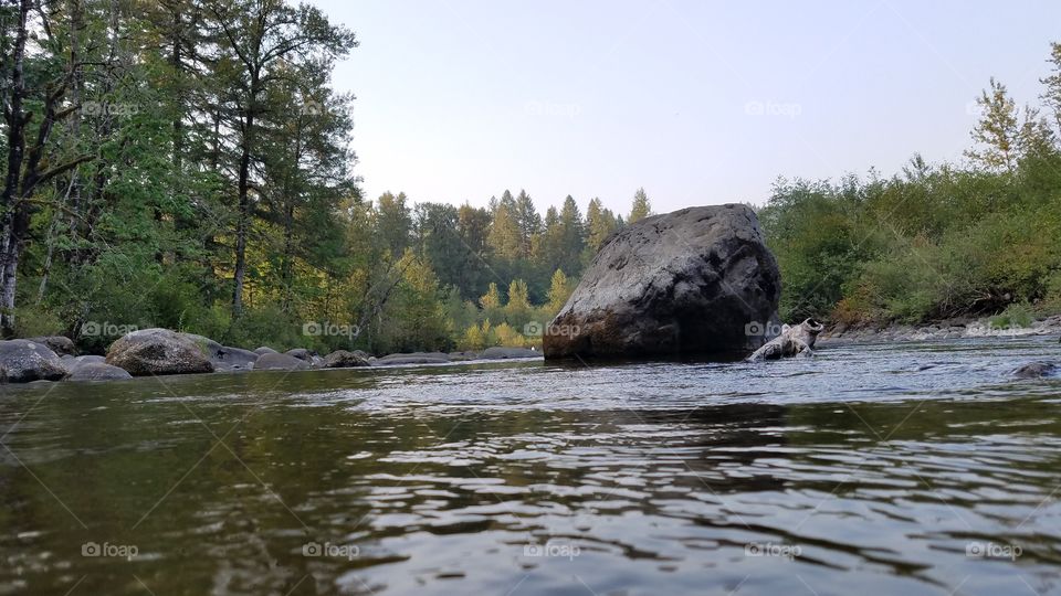 Boulder in the creek