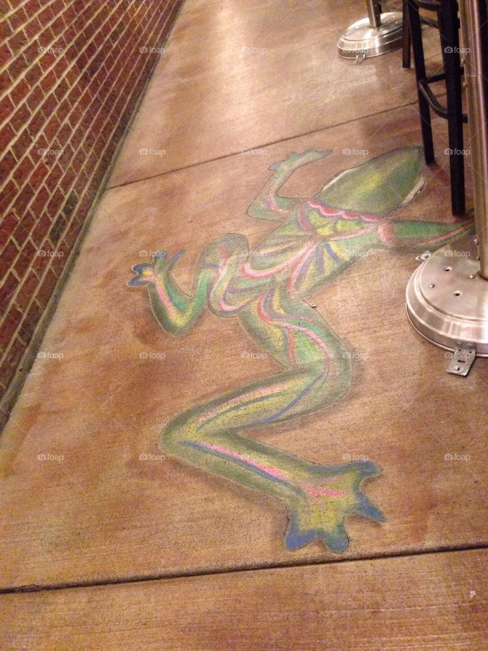 Lizard chalk 