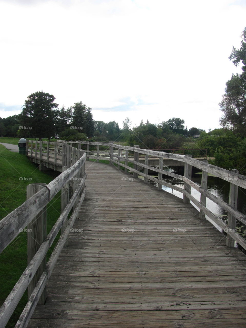 No Person, Bridge, Wood, Outdoors, Tree