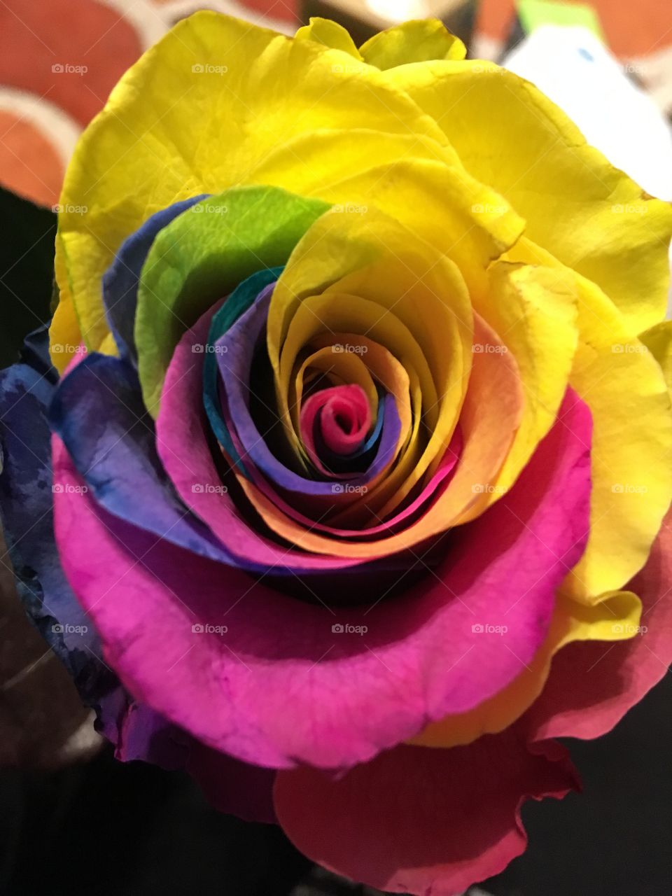 My Beautiful Rainbow Rose, chosen for me by the one I love.