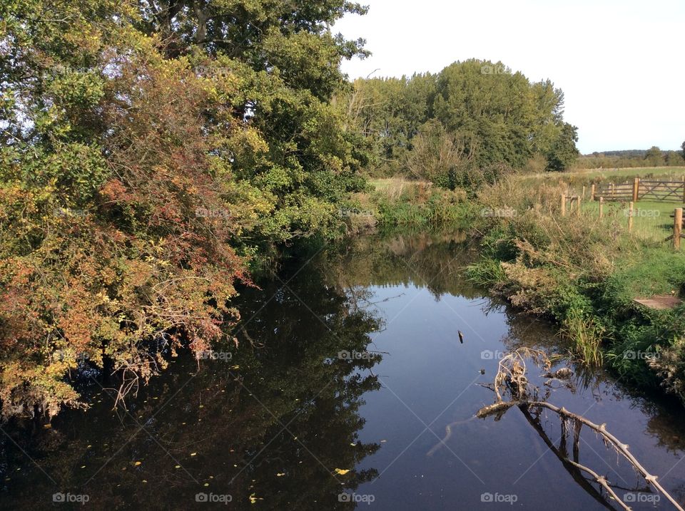 A still pond surrounded by beautiful trees on an autumnal afternoon