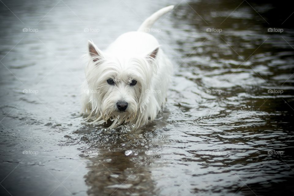 Having fun in the water