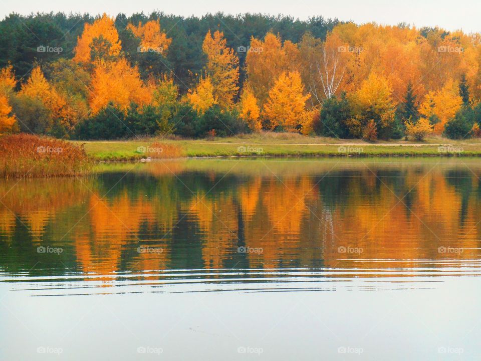 autumn lake