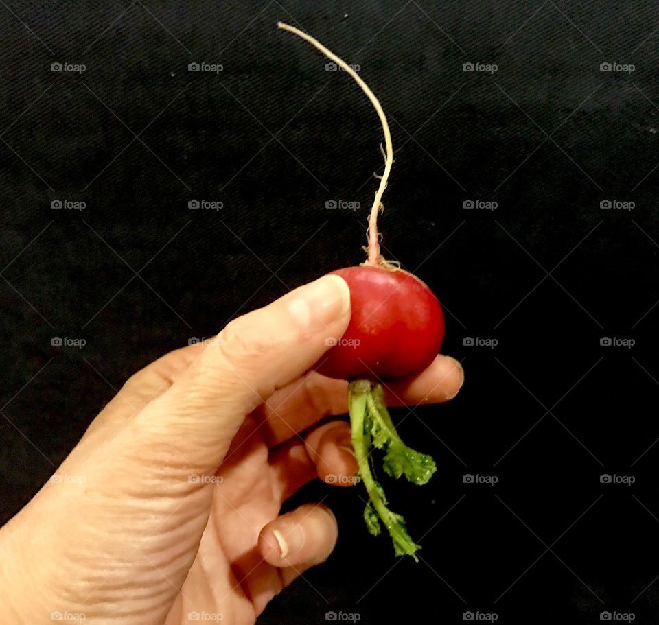 One Radish