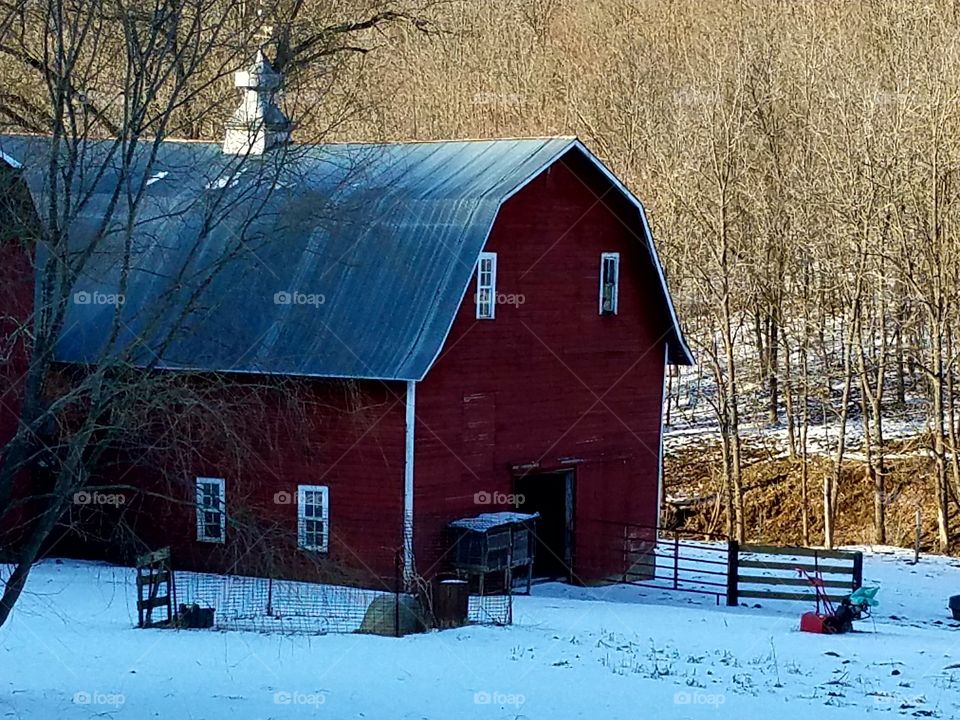 Barn