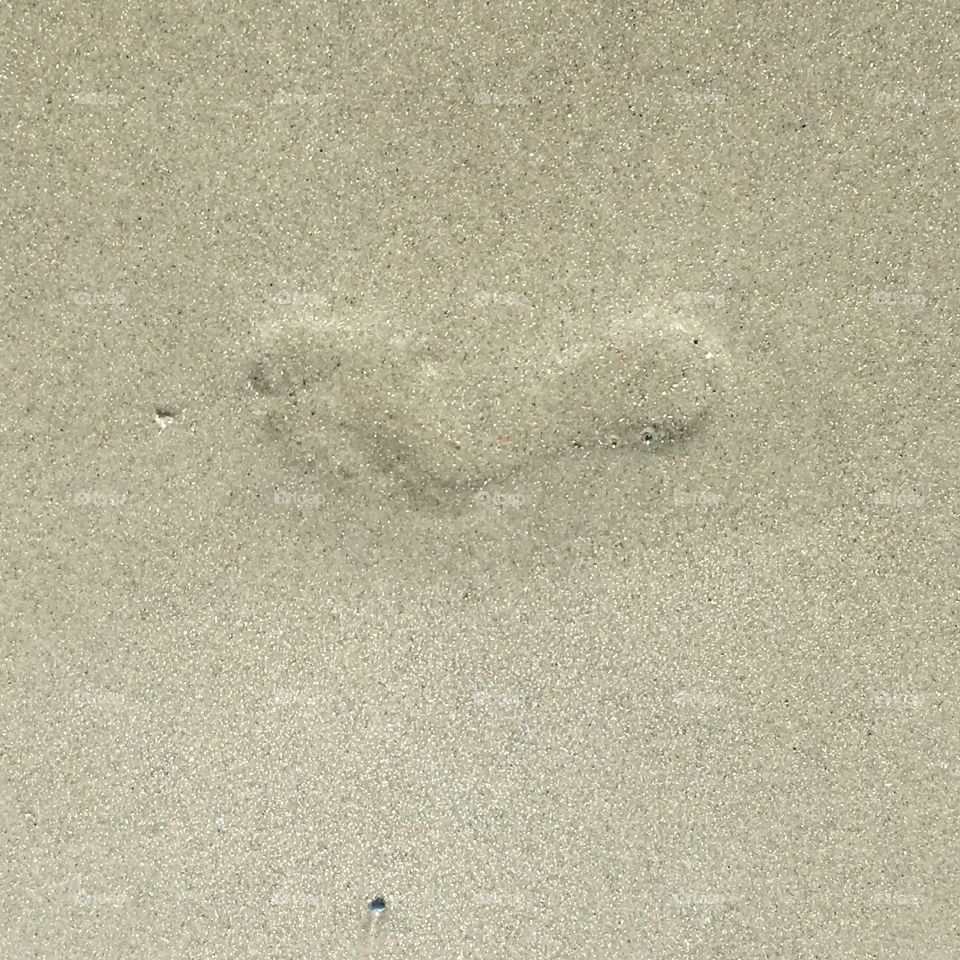 Foot prints in the sand Myrtle Beach South Carolina 