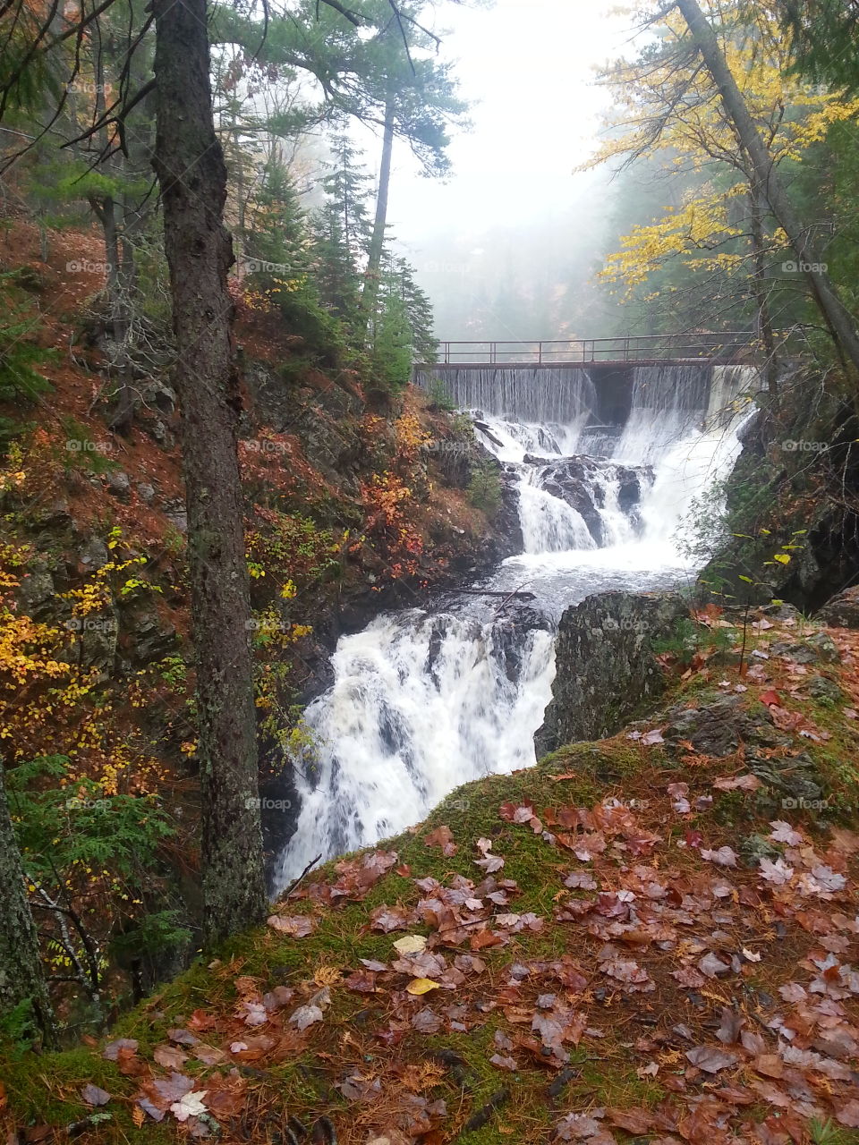 Beautiful fall day