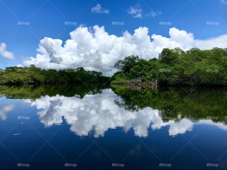 clouds in the blue sky reflected in the water mirror of the river, Marau, Bahia, Brazil