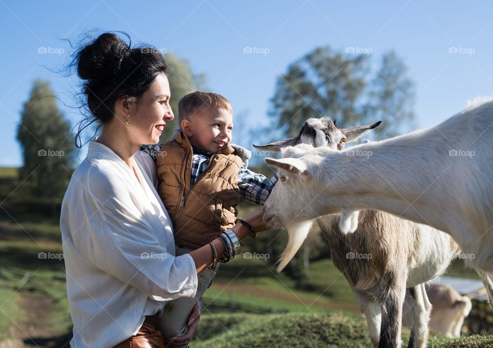 Pets and people, tenderness, pure love 