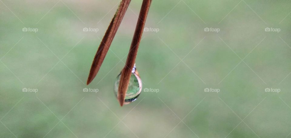 water drop