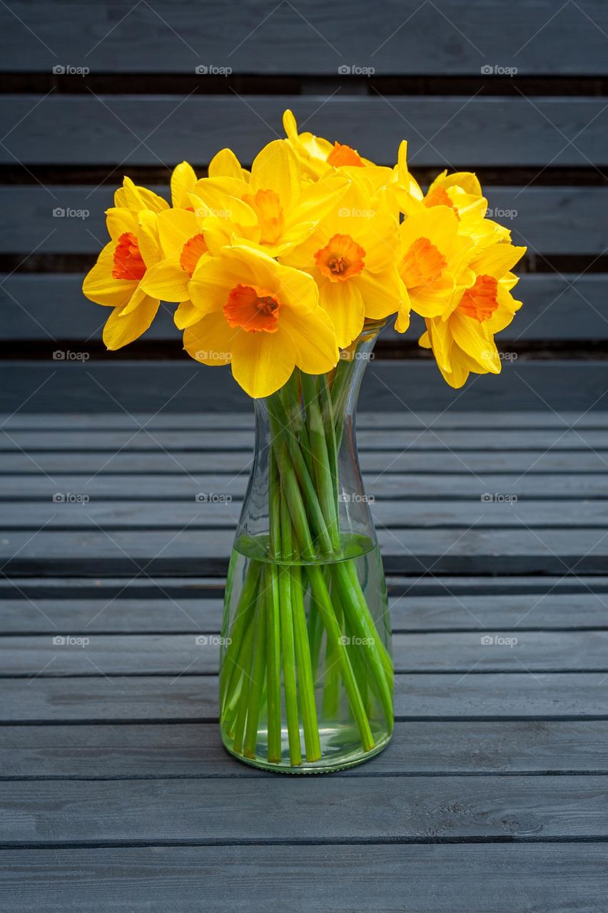 Daffodils in glass vase.