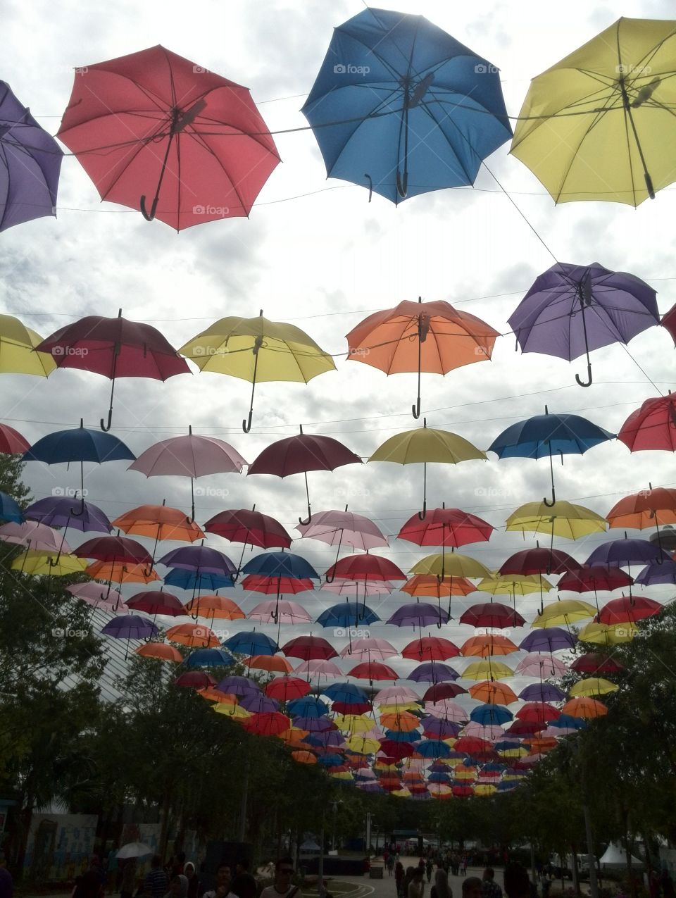umbrella. putrajaya floria