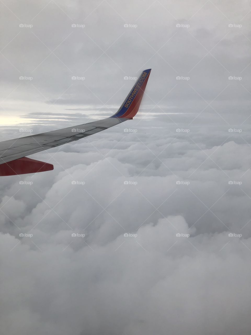 Flying with the clouds 