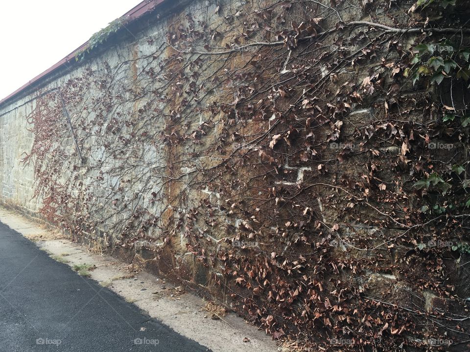 Eastern State Penitentiary 