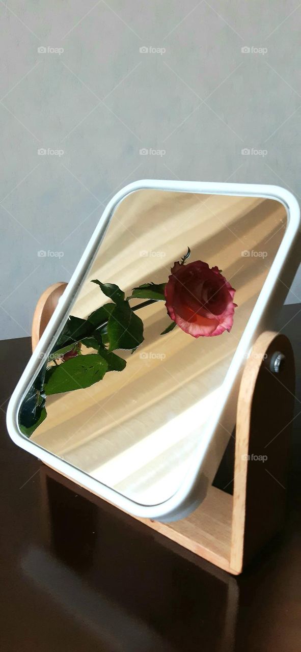 the beauty is reflected