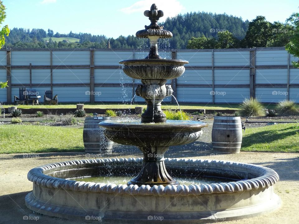 fountain at the Old Faithful Geyser of California