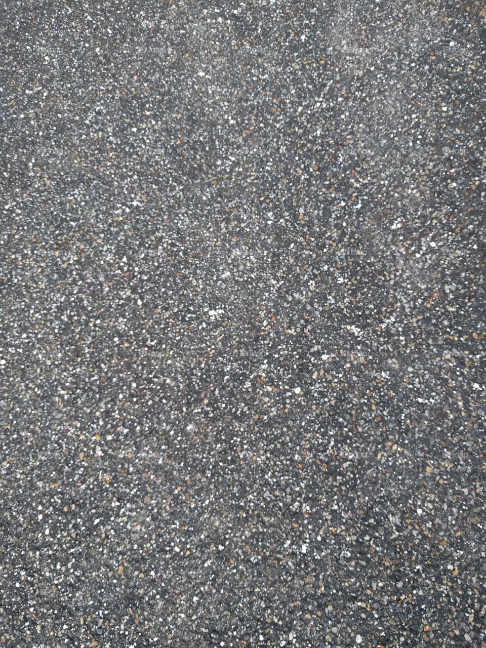 Recently Salted Asphalt