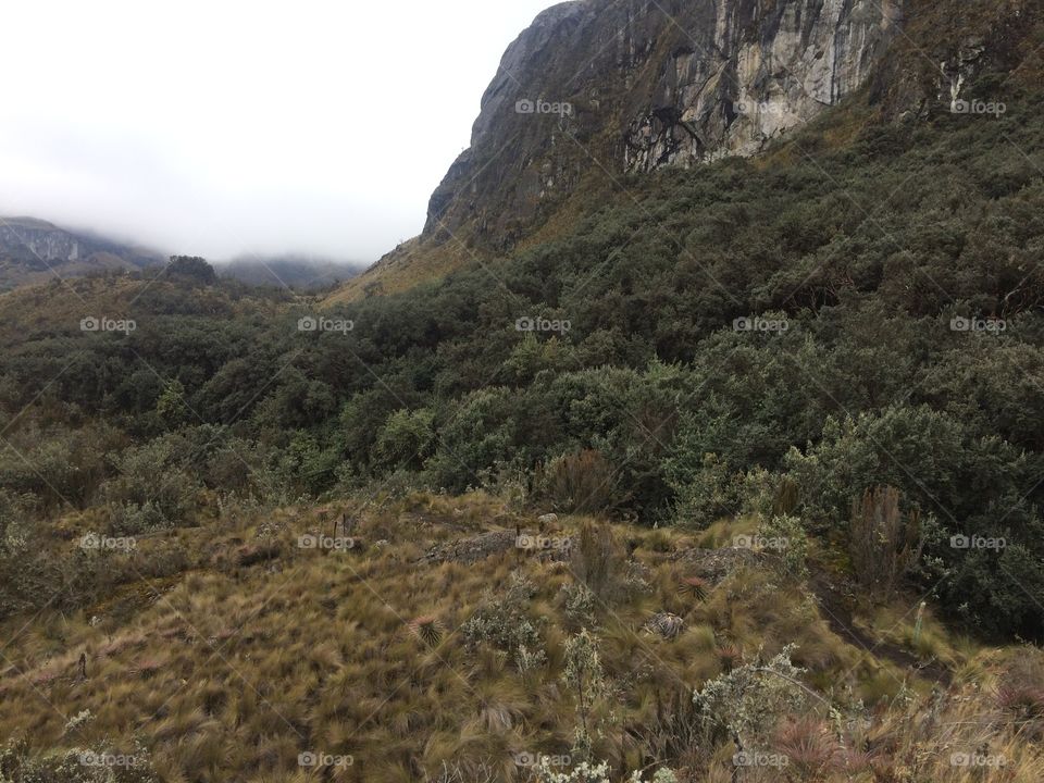 Parque nacional cajas 