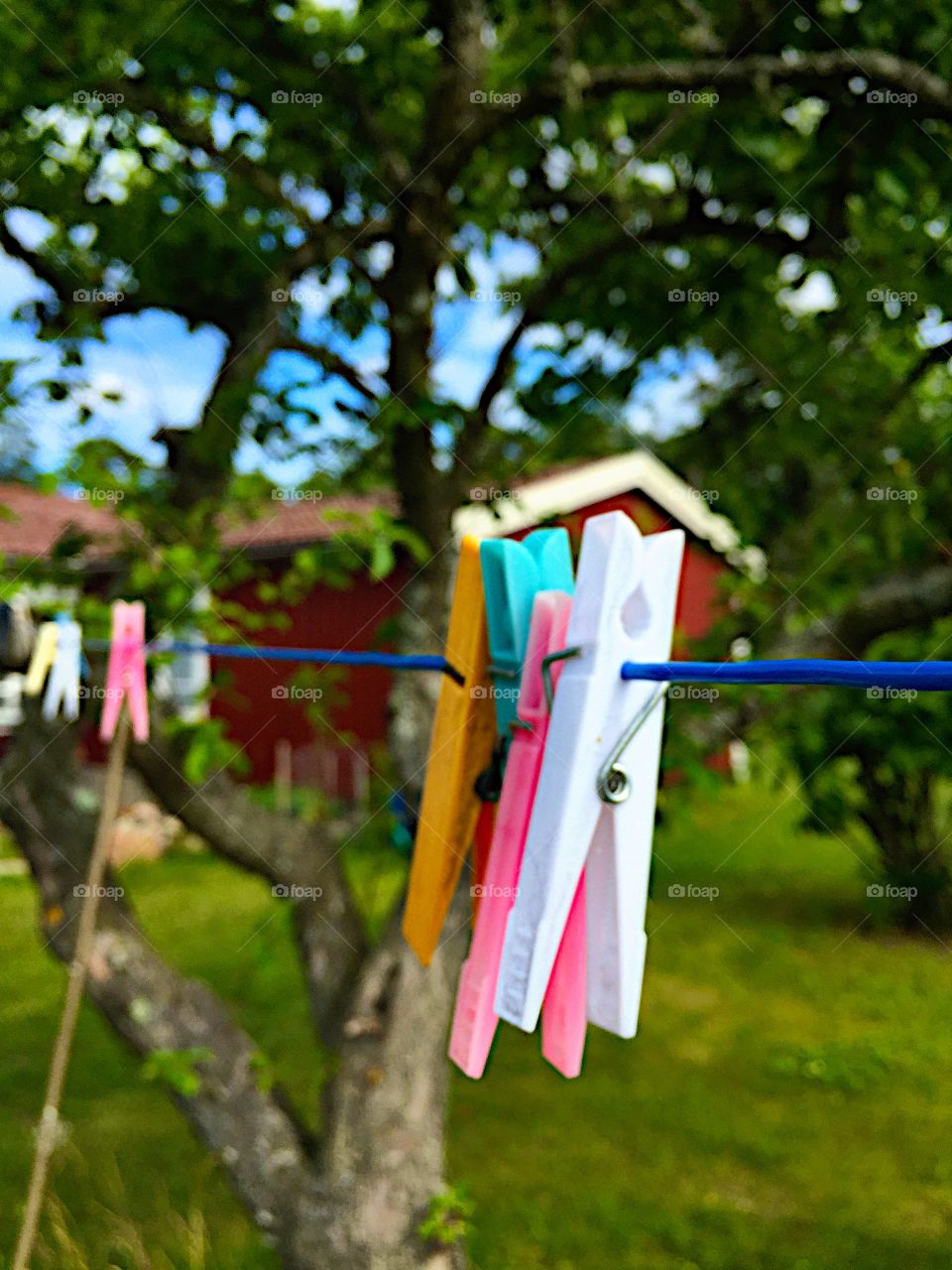 Close up on the washing line with laundry clips!