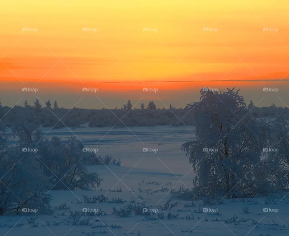 Frosty, north, clean air, cold, skiing, ski trip, winter, skiing, skiing in the forest, Arctic, silence, freshness, skiing, hunter.